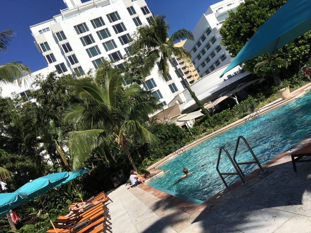 the palms hotel & spa miami